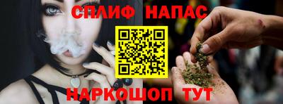 МДПВ Ливны